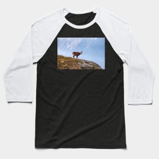 Mountain Chamois in High Tatras National Park Baseball T-Shirt